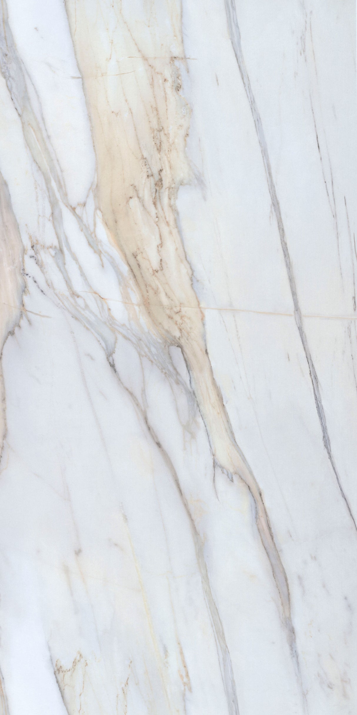 Alessia Marble