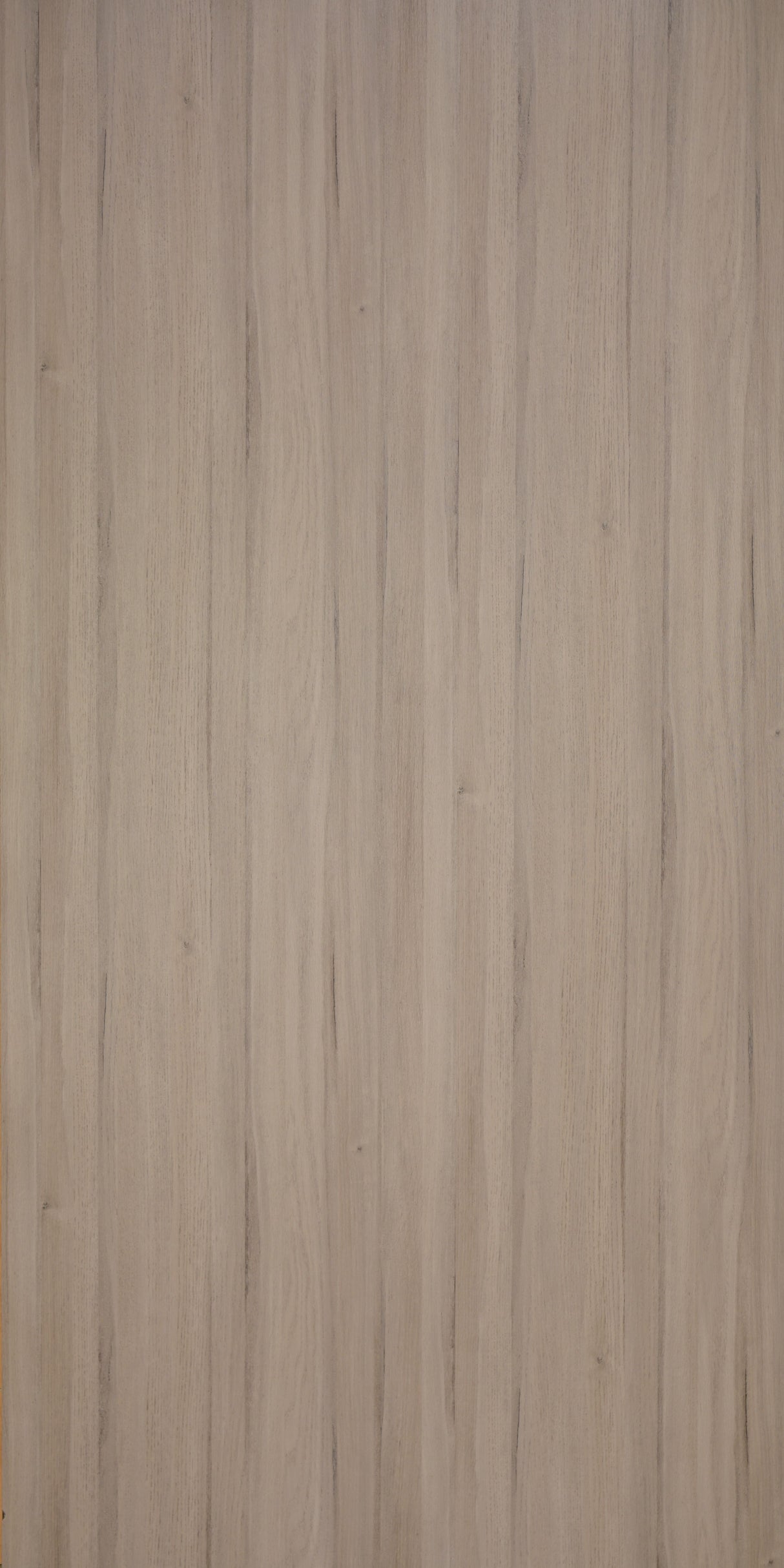 Mongolica Oak Sienna