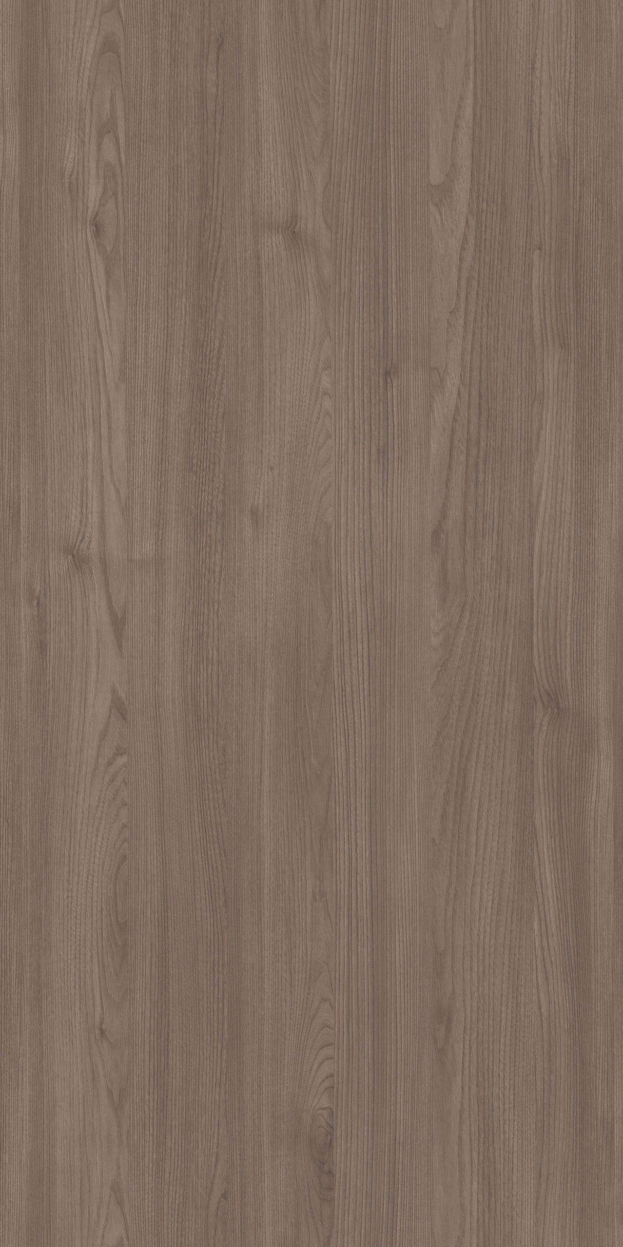 Rena Burlington Elm