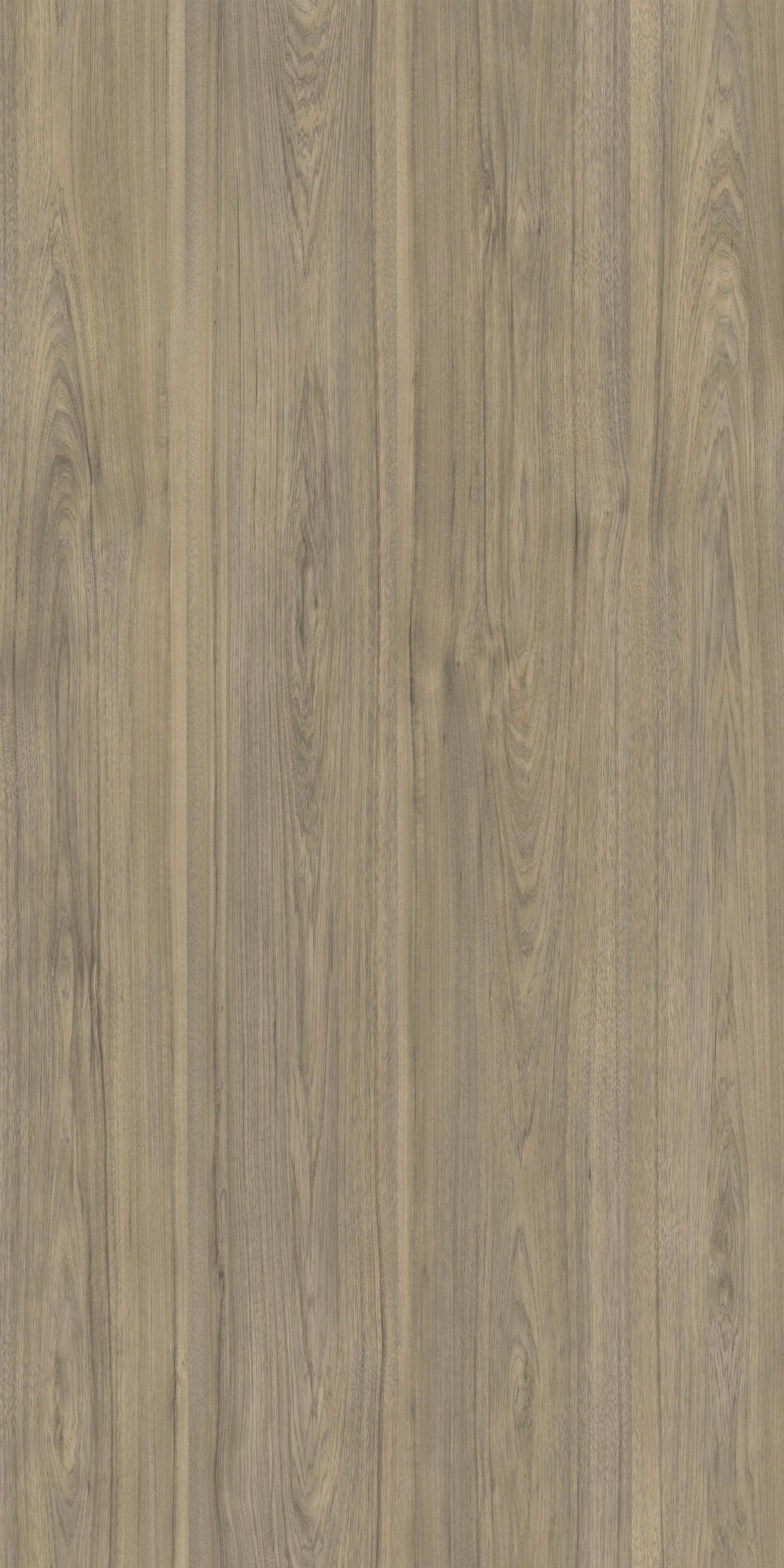 Genuine Walnut