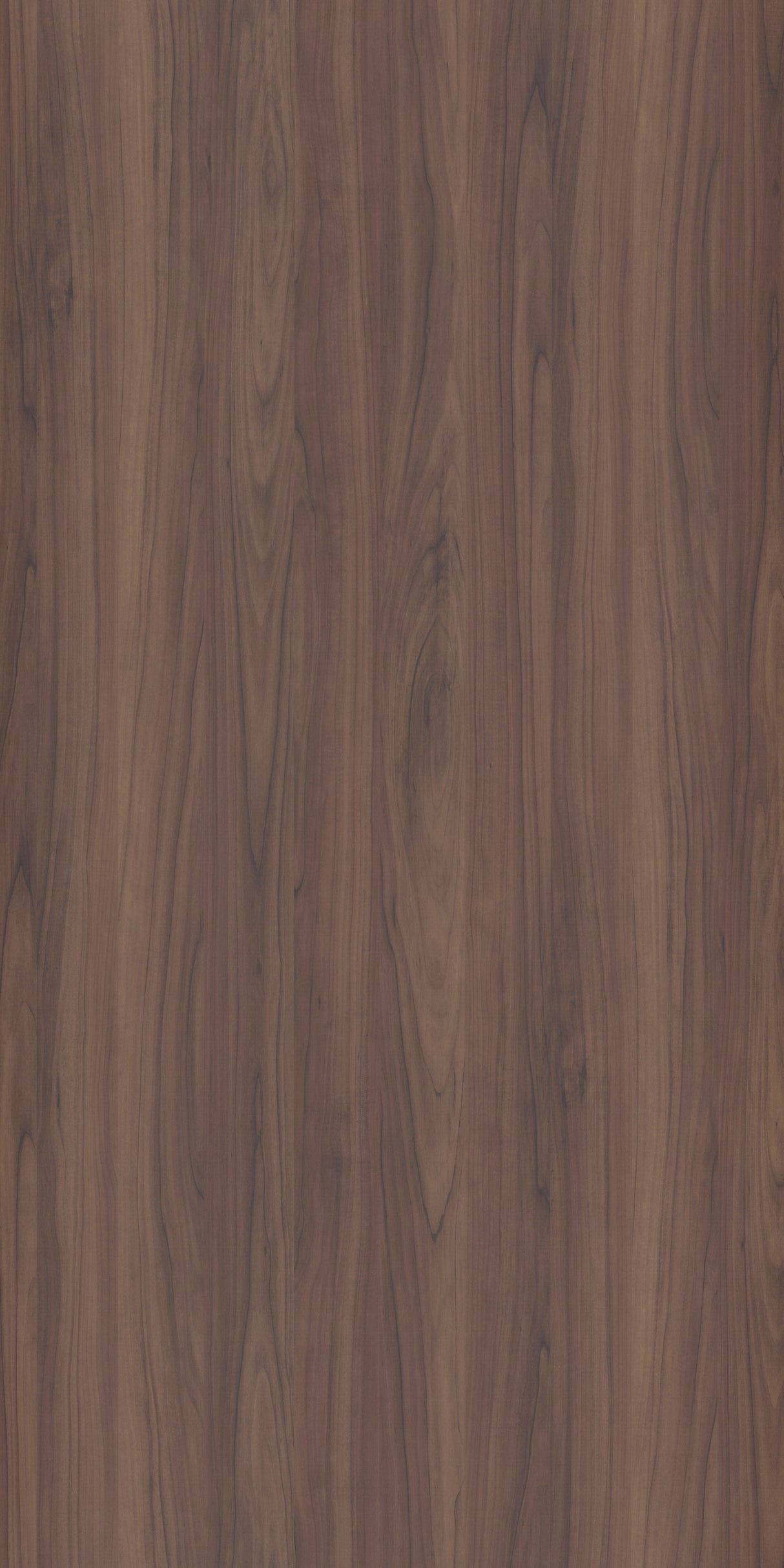 Amalia Sicilian Oak