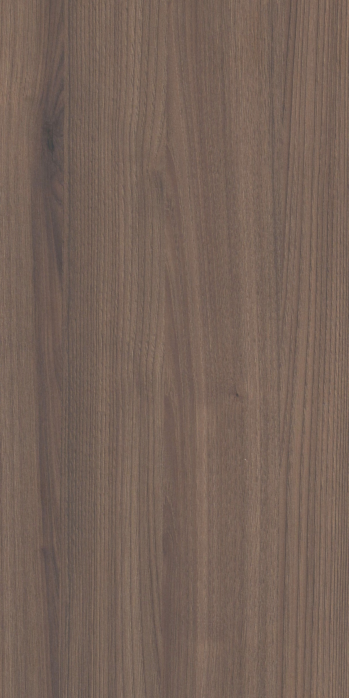 Draffin Chestnut