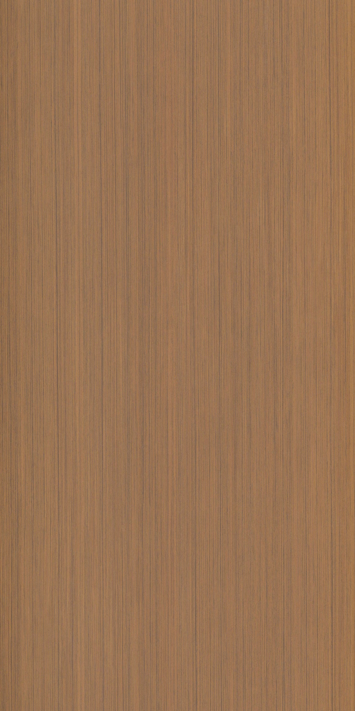 Kanto Cedar