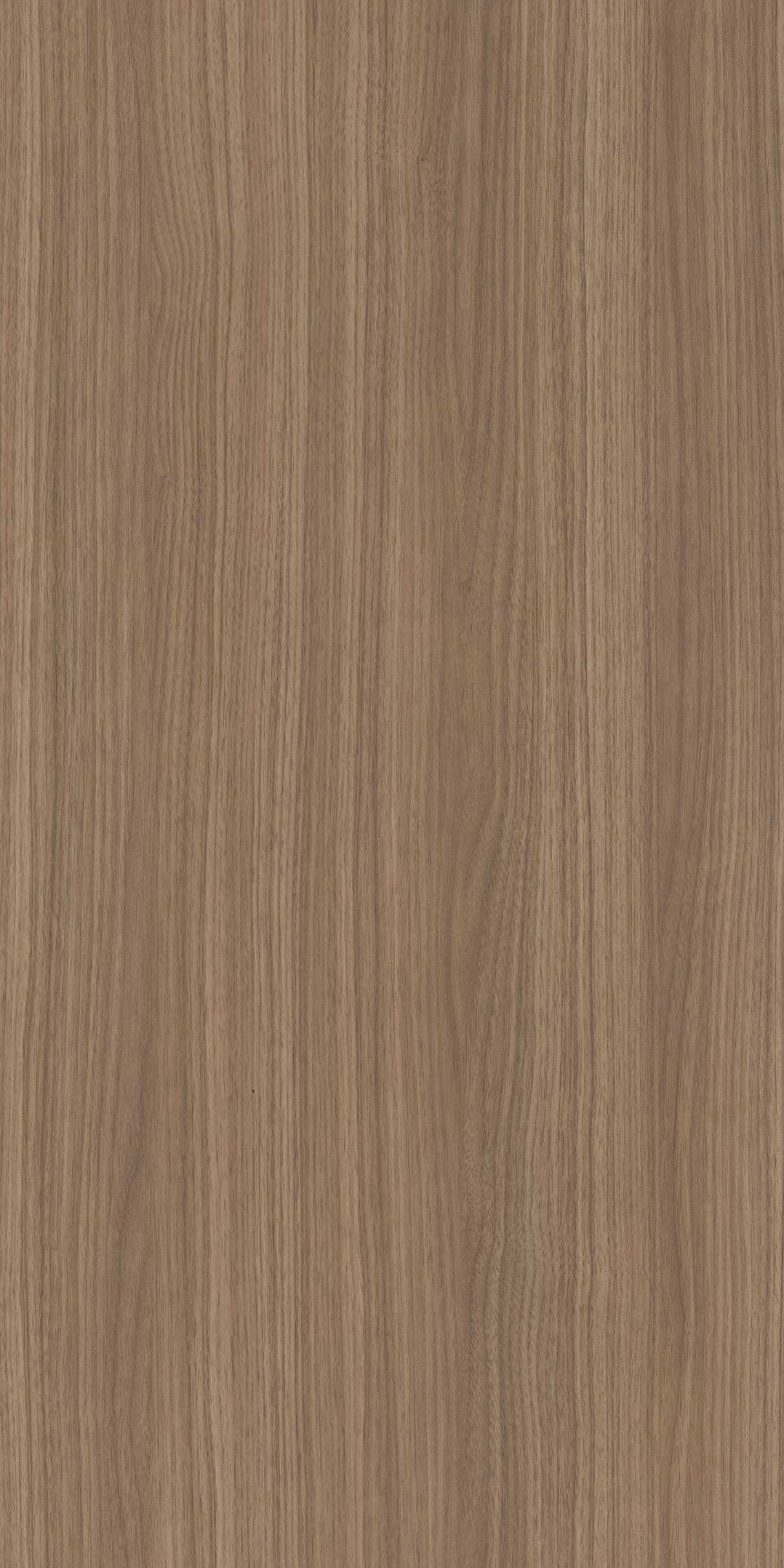 Espresso Ash