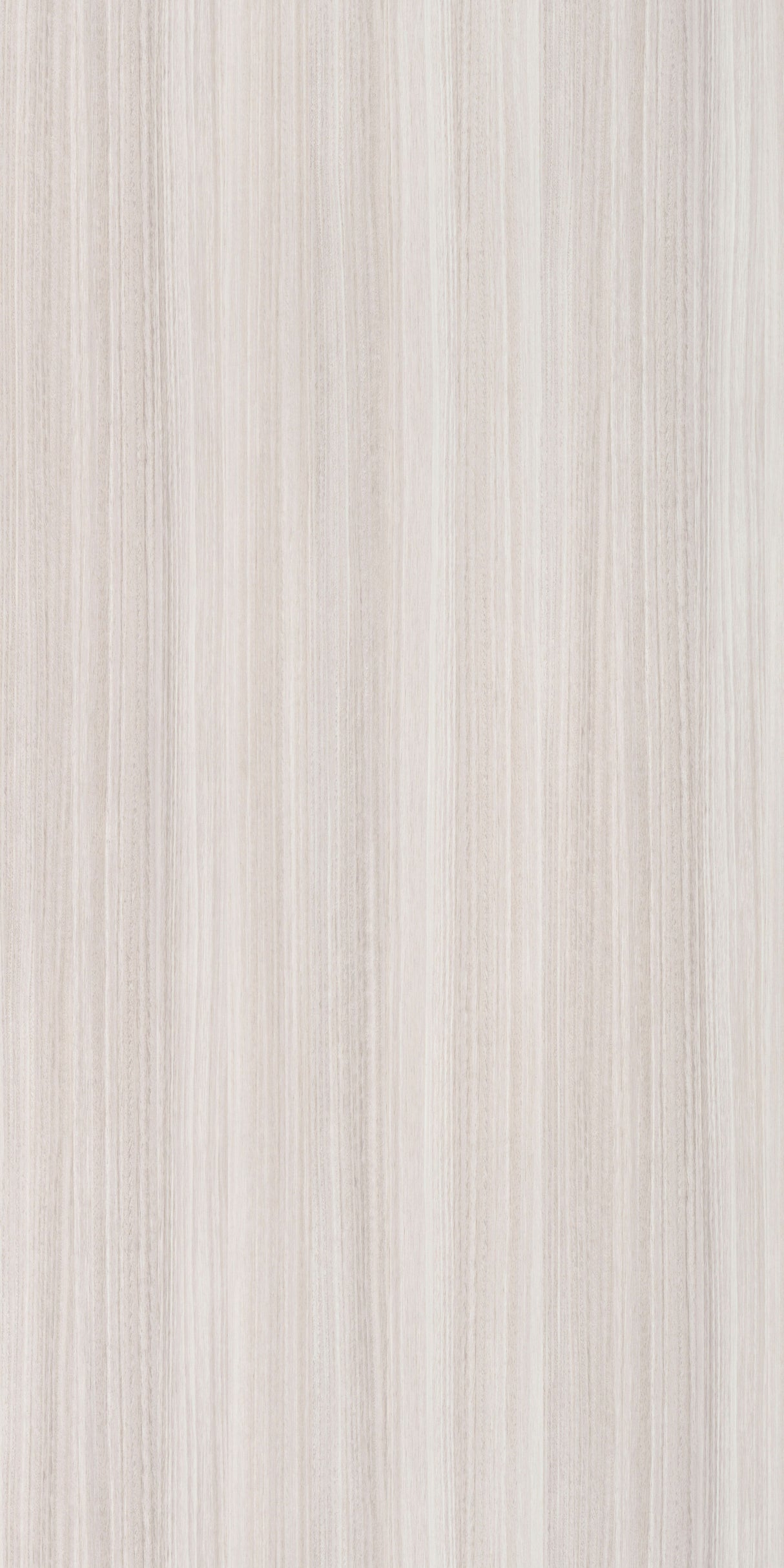 Frisco Eucalyptus