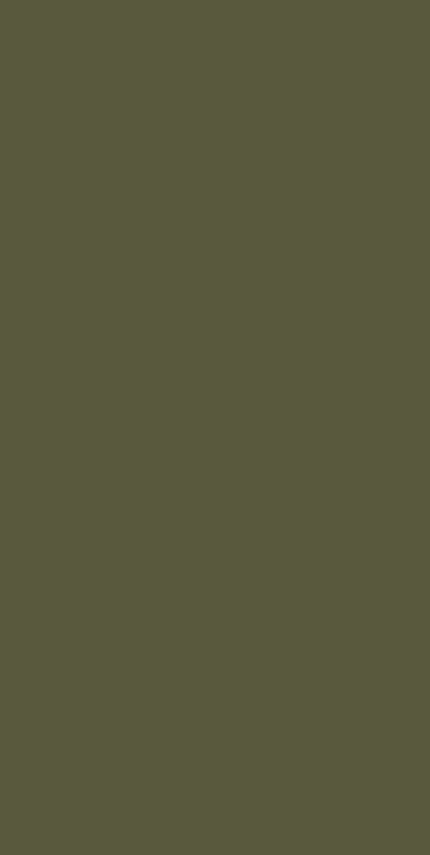 Olive C0152