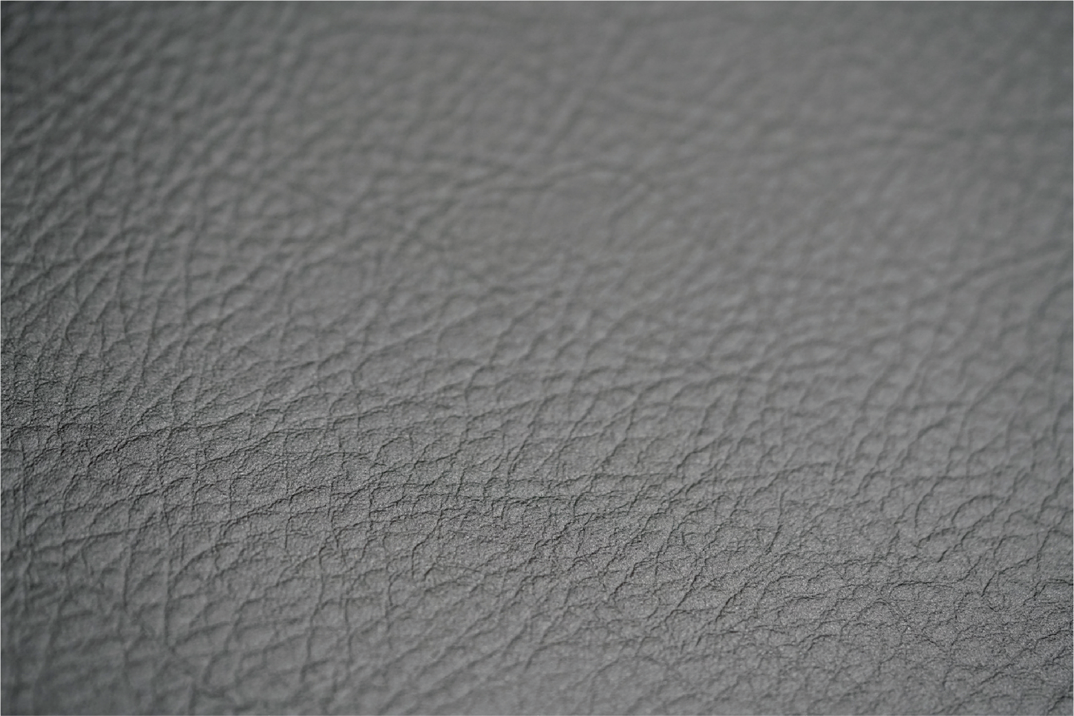 XP ACE (Leather and ACE Surfaces)