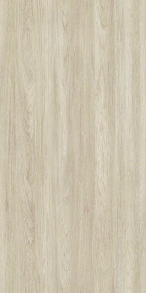 Nebraska Oak
