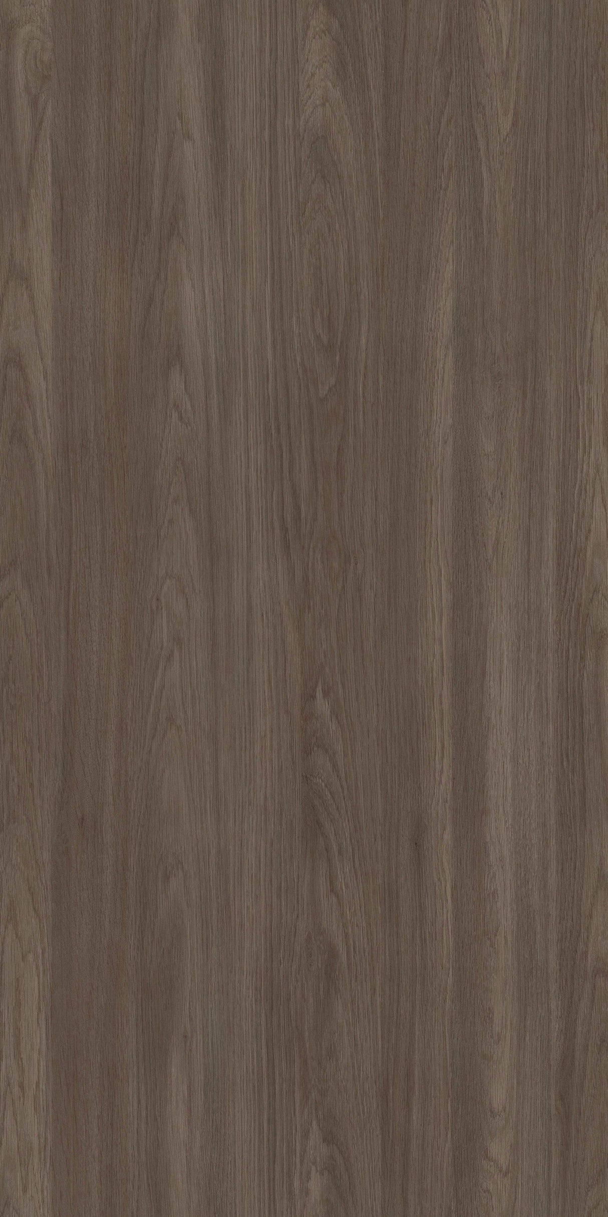 Dakota Oak