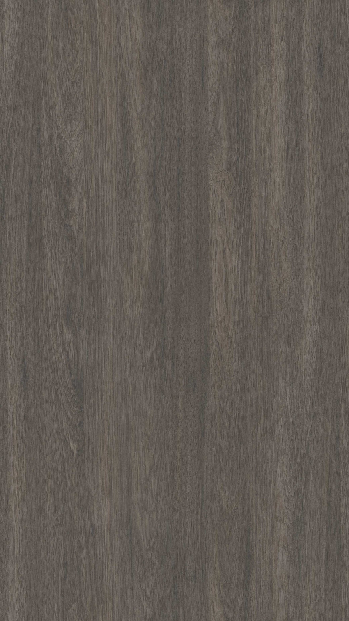 Kansas Oak
