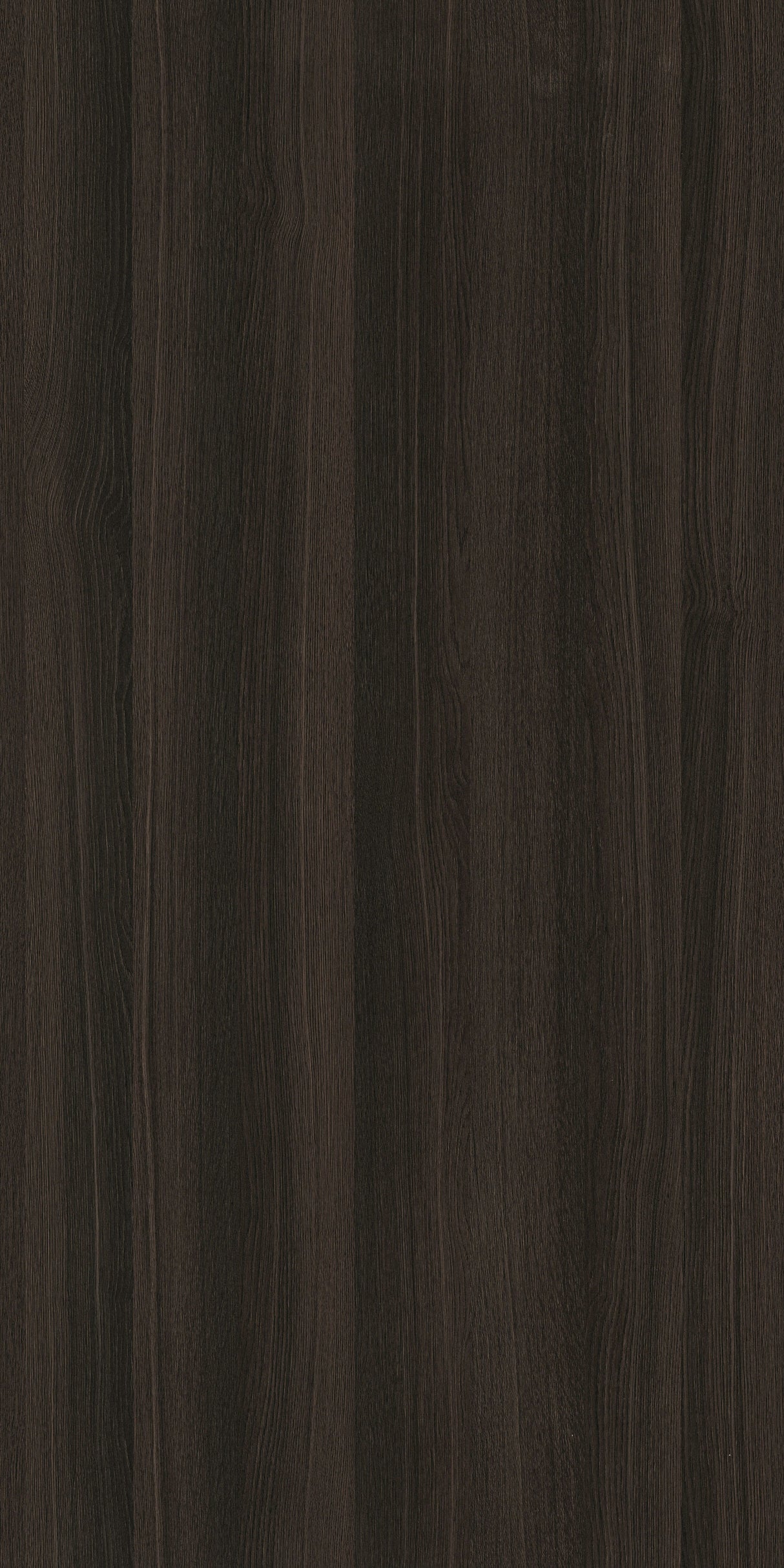 English Oak W0024