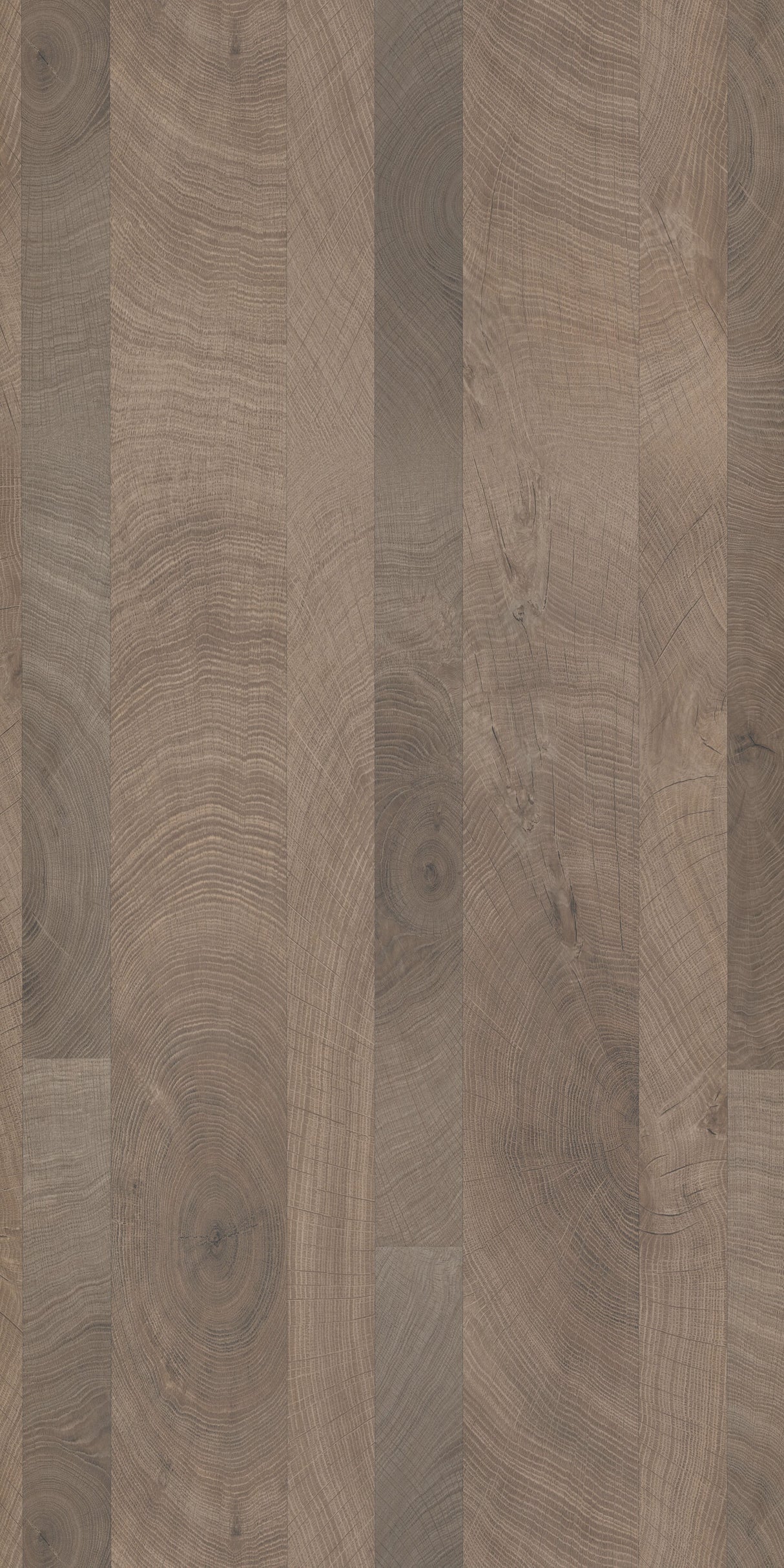 Rustic Oak Ecru