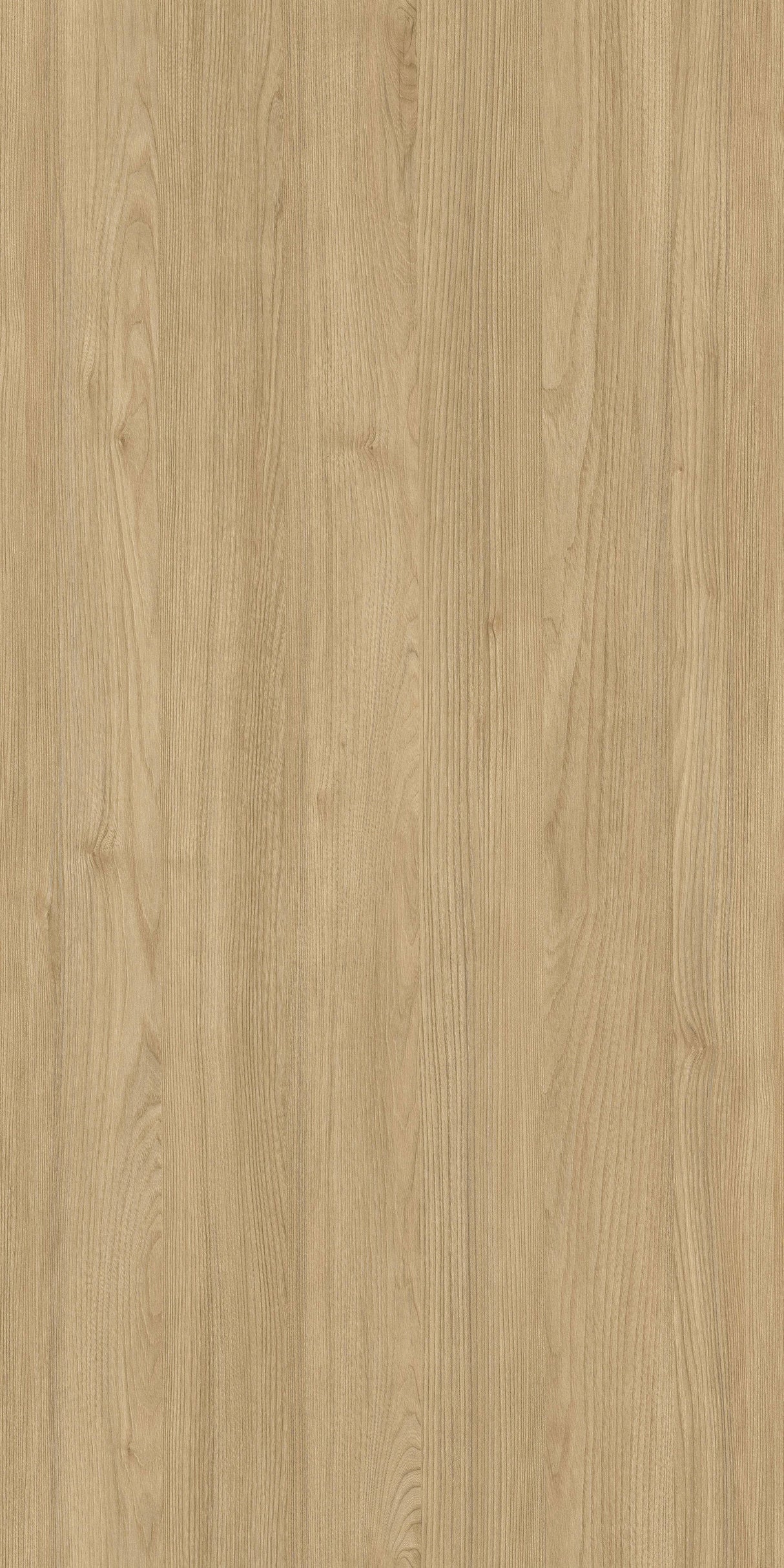 Robin Burlington Elm