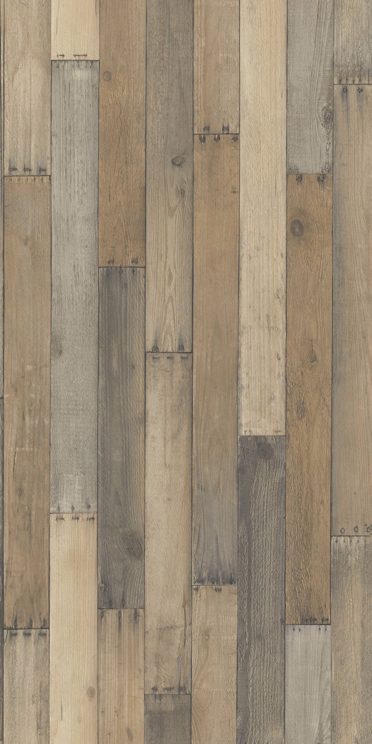 Eclectic Plank