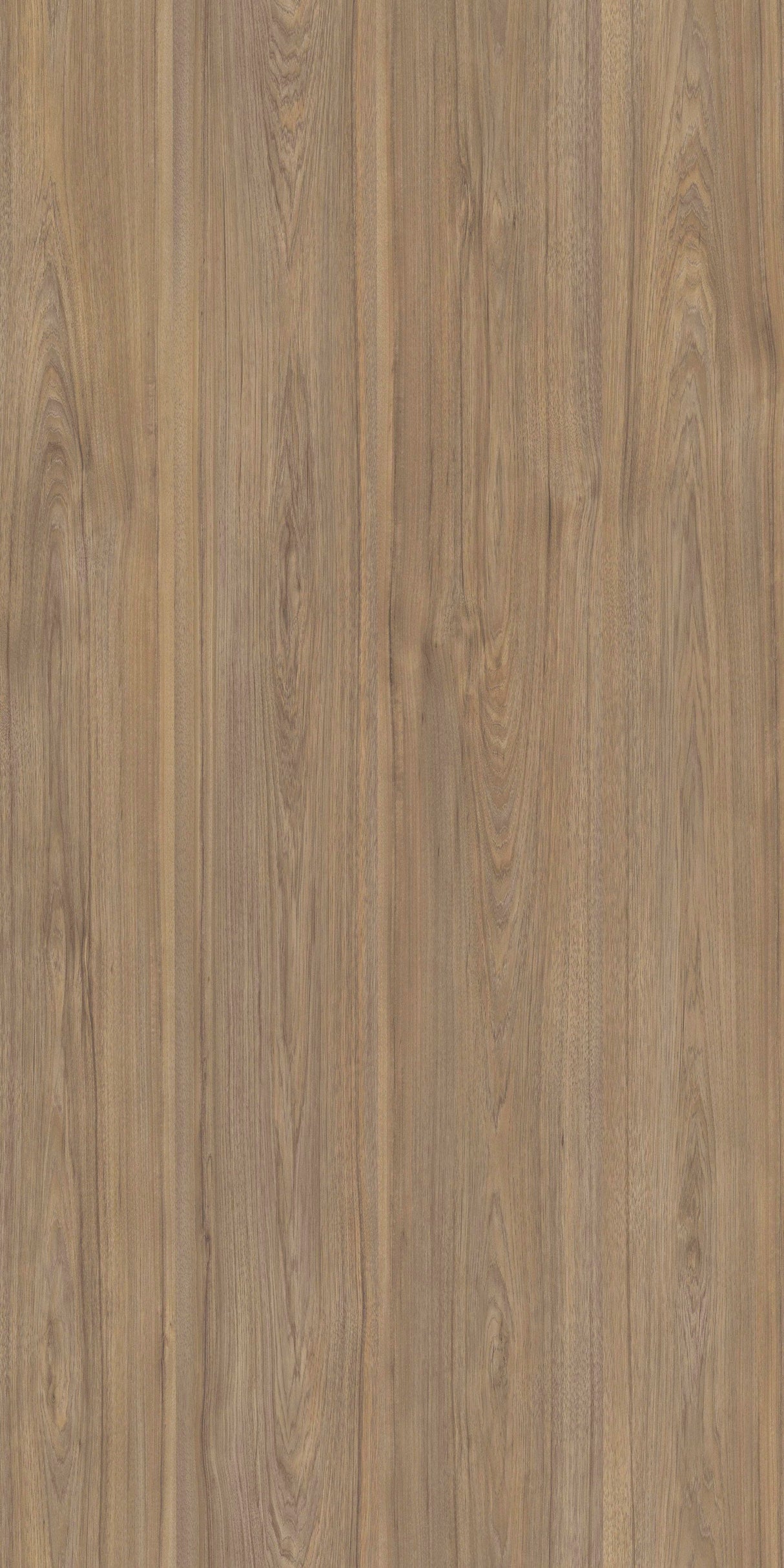Sublime Walnut