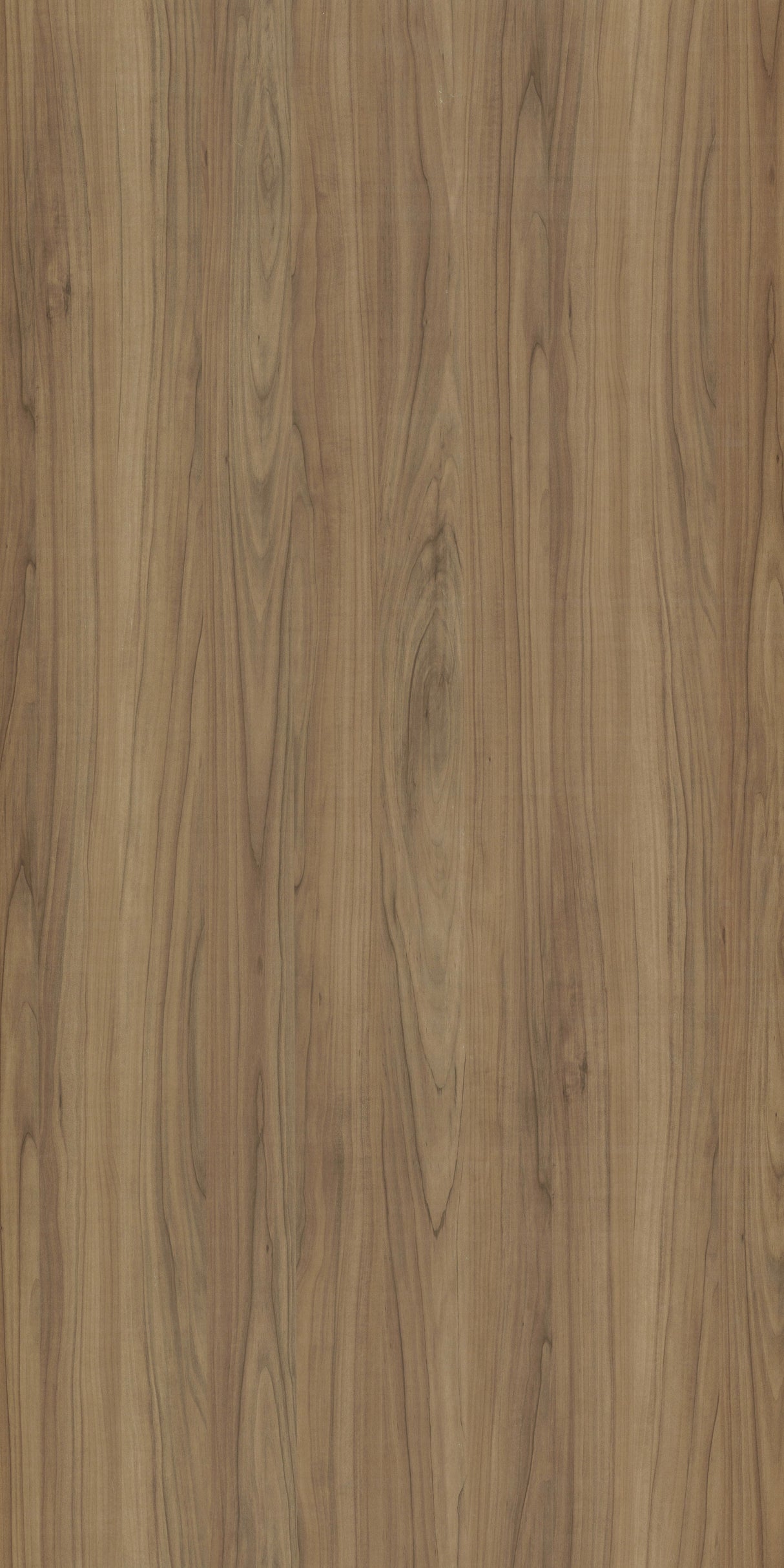 Lina Sicilian Oak