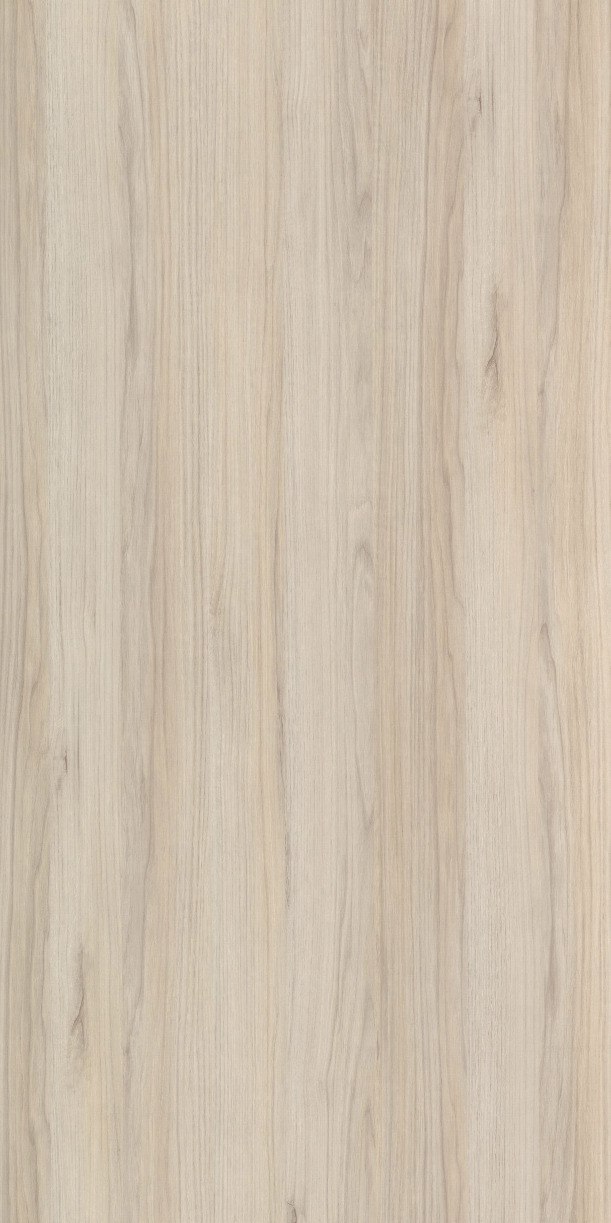 Elena Sicilian Oak