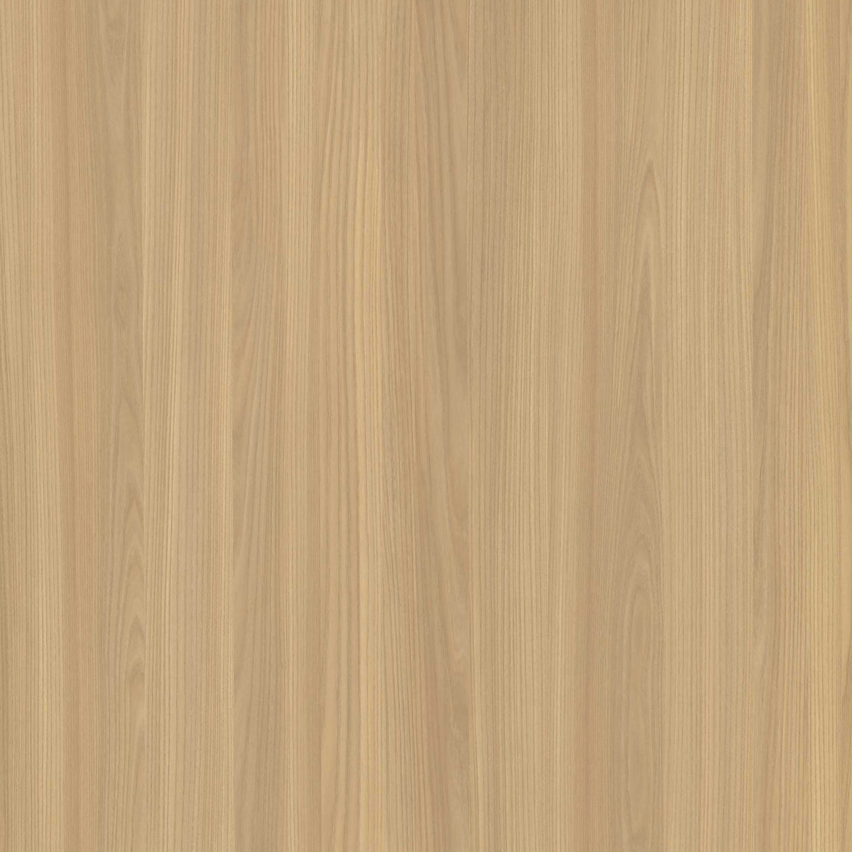 PoliLam PoliLam HPL - Austin Natural Ash | We Create Surfaces