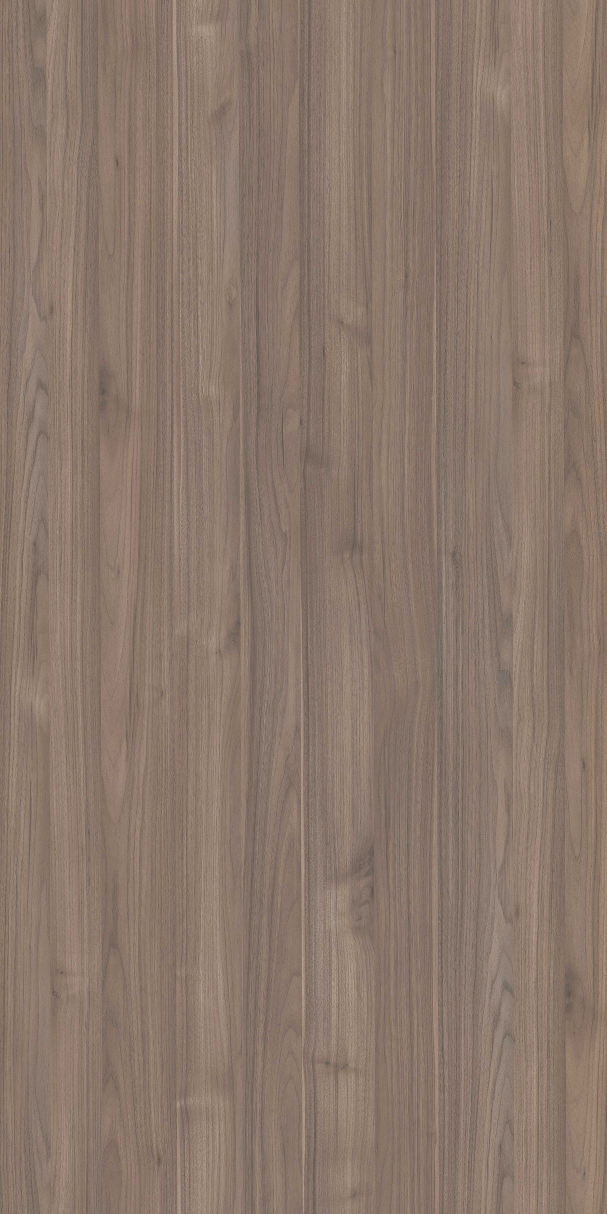 Cypress Silk