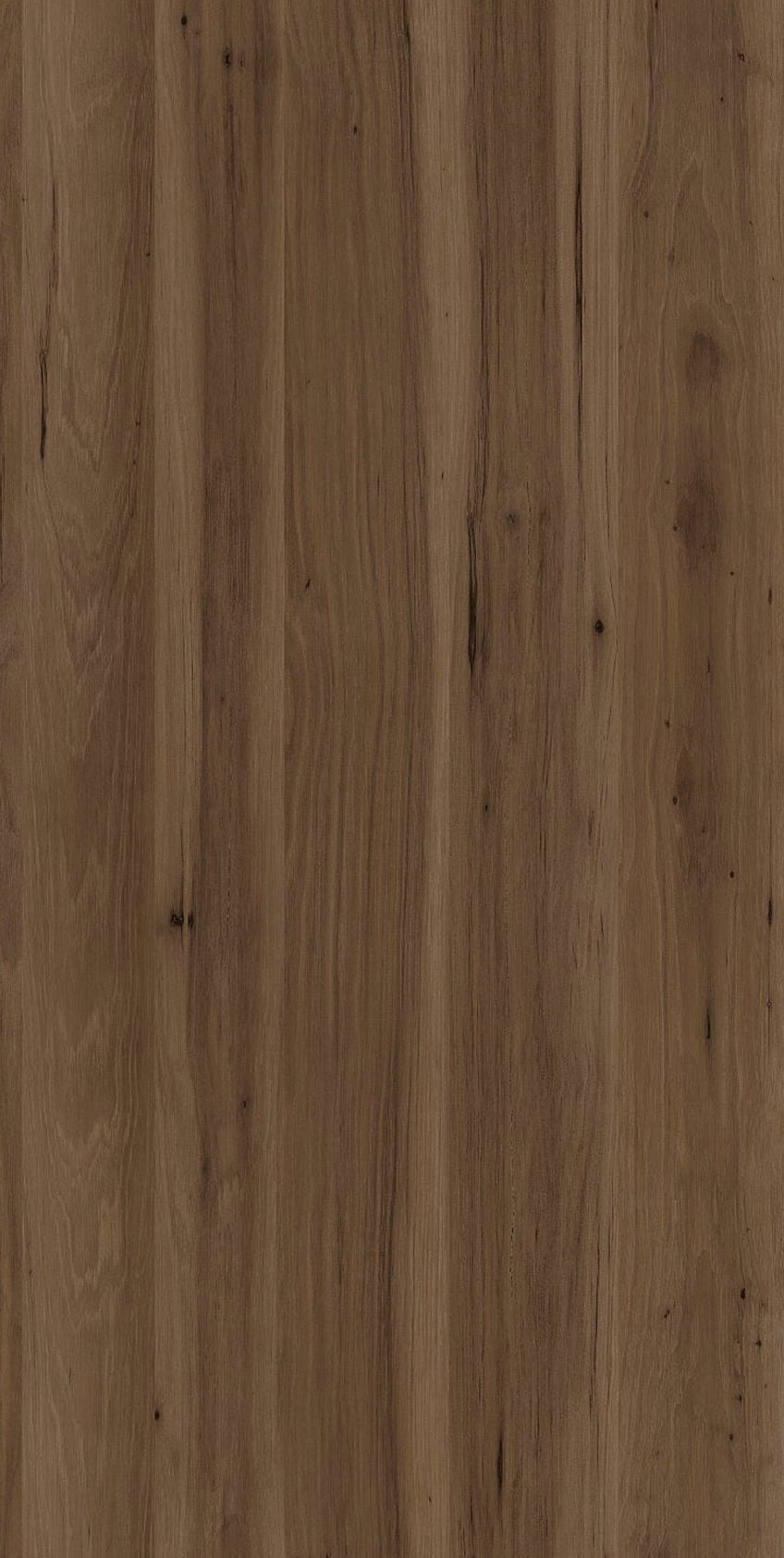 Michigan Oak
